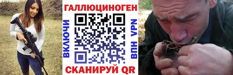 закладки  Сухой Лог  Галлюциногенные грибы прущие грибы 